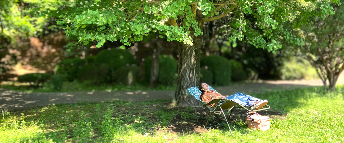 公園でのアウトドアセラピー